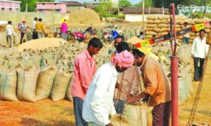 Attempt to consume 42 quintals of illegal paddy from farmer's account