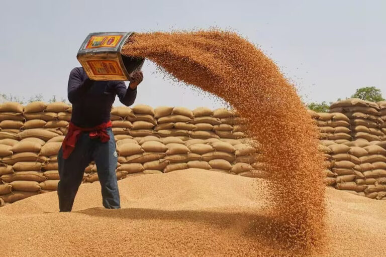 आज से मध्यप्रदेश में गेहूं खरीदी, भोपाल में 60 सेंटर बने,  इंदौर, उज्जैन-नर्मदापुरम में अच्छी आवक होने की उम्मीद