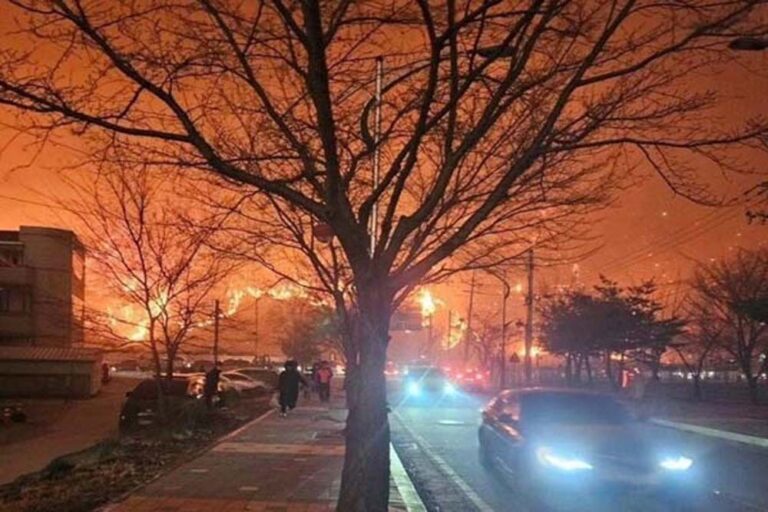 दक्षिण कोरिया के जंगल में नहीं थम रही आग से तबाही , अब तक 26 लोगों की मौत हो चुकी है और 30 अन्य लोग घायल हुए हैं