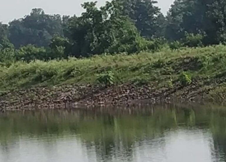 जल की बूंद-बूंद बचाएं, जल से ही हमारा कल सुरक्षित होगा, उज्जैन में होगा गंगा जल संवर्धन अभियान का शुभारंभ