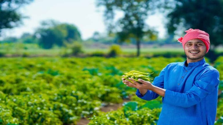 उद्यानिकी के साथ खाद्य प्र-संस्करण हब के रूप में उभरा मध्यप्रदेश