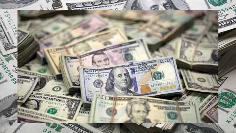 भारत का विदेशी मुद्रा भंडार बढ़कर 686.14 अरब डॉलर पर पहुंचा,रिकॉर्ड तोड़ने के लिए 18.74 अरब डॉलर की है दरकार