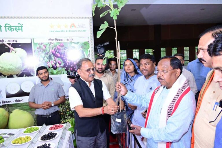 राष्ट्रीय आम महोत्सव से आम उत्पादन के लिए प्रेरित होंगे छत्तीसगढ़ के किसान : कृषि मंत्री  नेताम
