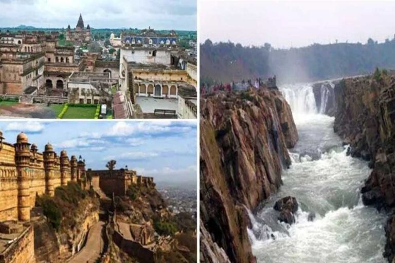 19 जून से 6 जुलाई तक होगा मूंग और उड़द उपार्जन के लिए पंजीयन