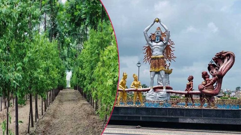 गुजरात में बने संस्कृति वन की तर्ज पर उज्जैन में भी 12 हेक्टेयर एरिया में महाकाल संस्कृति वन बनाया जा रहा