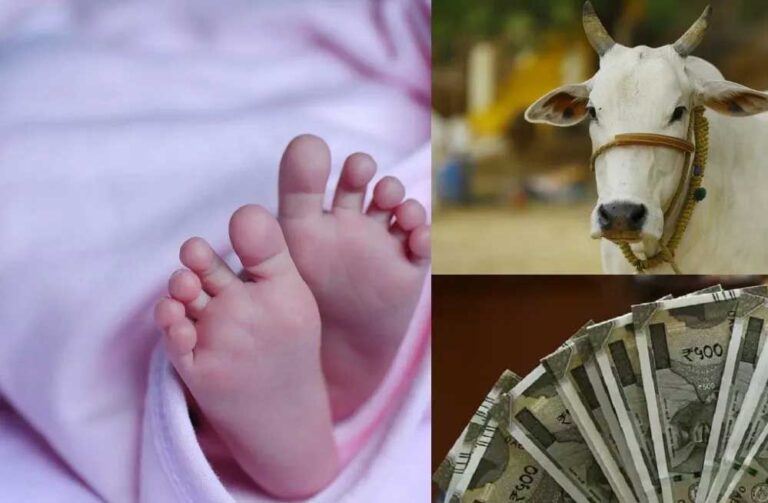 राजस्थान के भीलवाड़ा में तीसरी संतान पर 50,000 रुपये की FD मिलेगी