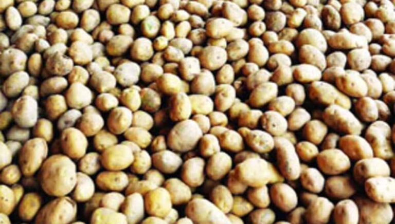आगरा में बनेगा अंतरराष्ट्रीय आलू केंद्र, मोदी कैबिनेट ने दी मंजूरी