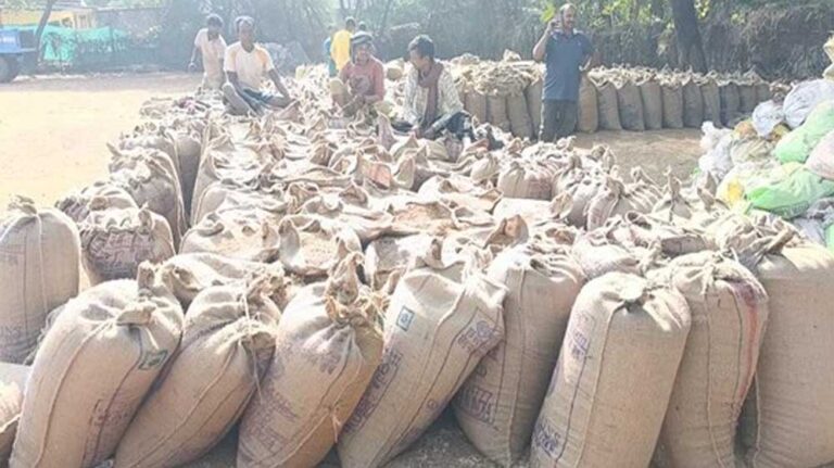 मैहर में धान उपार्जन में लापरवाही, 6526 क्विंटल धान की कमी पाई गई, आर्थिक क्षति की वसूली के लिए दोषियों की जमीन नीलाम की जाएगी