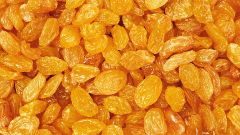 गोल्डन किशमिश में छिपा ज़हर! जानिए क्यों लौटाए गए ये प्रोडक्ट