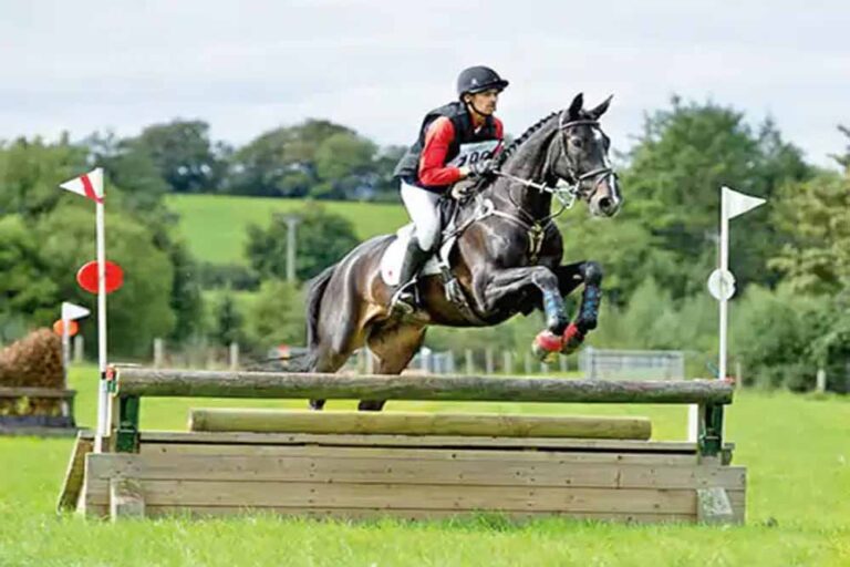 देश का नंबर 1 घोड़ा भोपाल में, 12 साल में 27 मेडल जीतकर बना चैंपियन