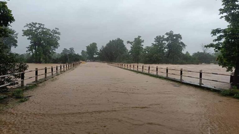 रामानुजगंज में मूसलाधार बारिश: कन्हर नदी उफान पर, निचली बस्तियों में जलभराव