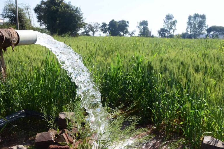 रबी सीजन में निर्बाध एवं गुणवत्तापूर्ण विद्युत आपूर्ति की व्यवस्था