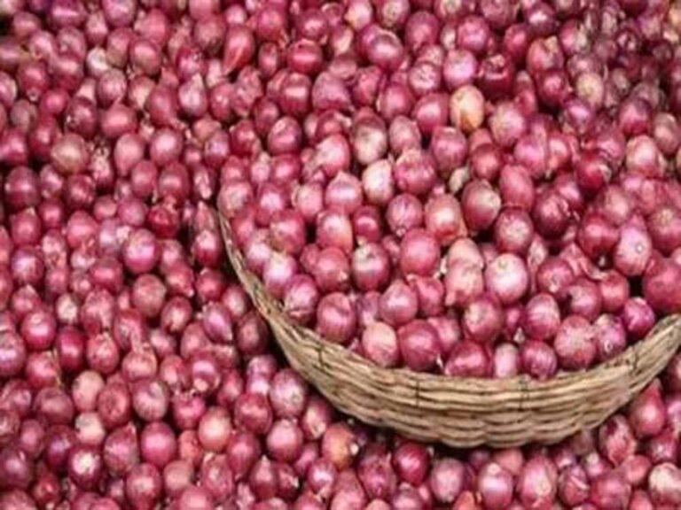 अब प्याज की बढ़ती कीमत से राहत, इन शहरों में मिलेगा सब्सिडी वाला प्याज