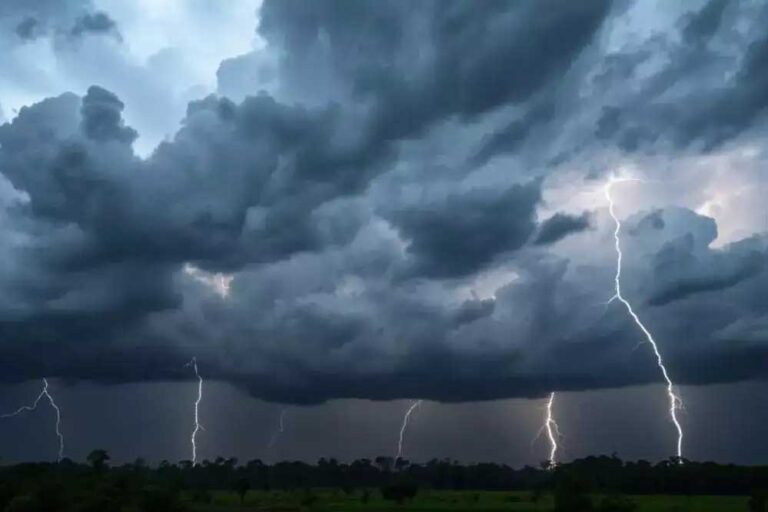 रायपुर : प्रदेश में अब तक 891.7 मि.मी. औसत वर्षा दर्ज