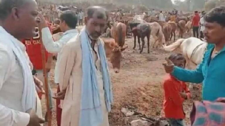 चित्रकूट के ऐतिहासिक गधा मेले में शाहरुख बना स्टार, 1 लाख 5 हजार में बिका!