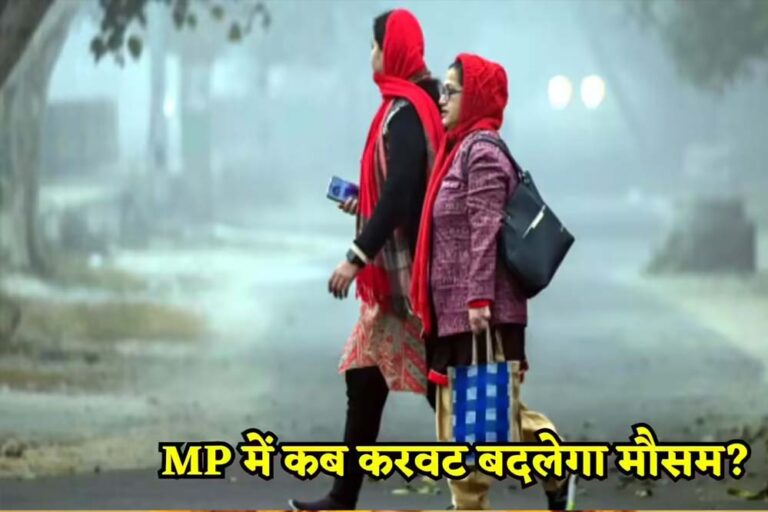 MP से मानसून की विदाई, लेकिन बारिश जारी! 15-16 अक्टूबर को दक्षिणी जिलों में अलर्ट