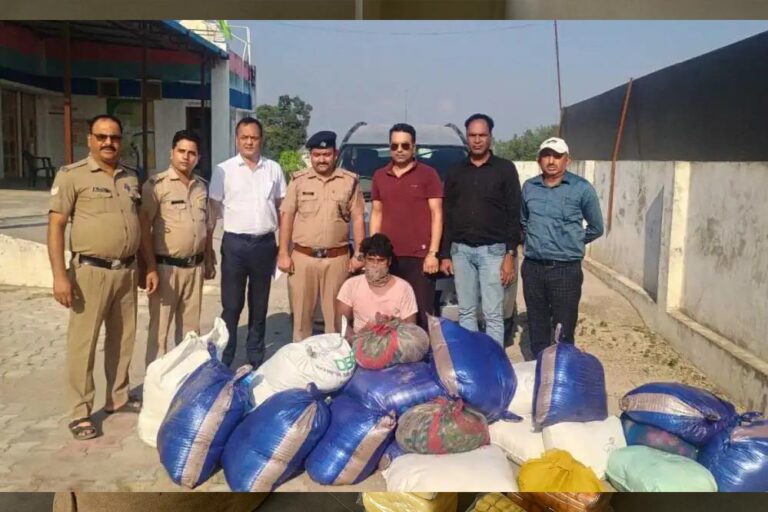 प्रदेशभर में 5 करोड़ की मिलावटी सामग्री जब्त, 3 करोड़ की सामग्री नष्ट