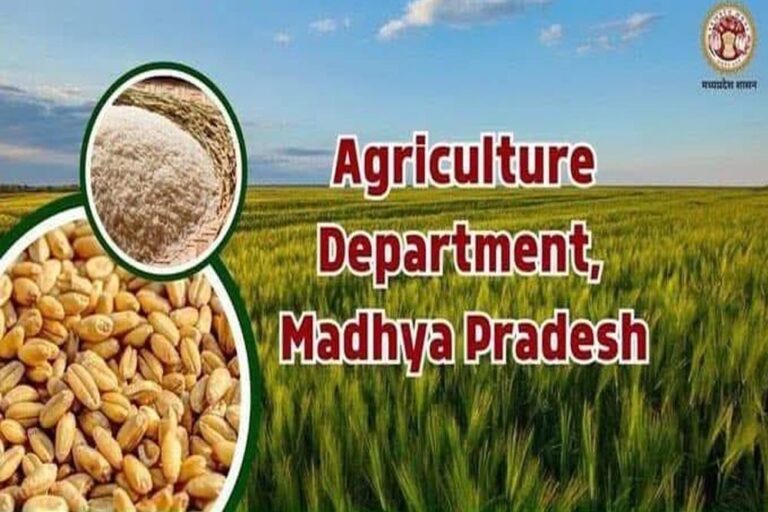 कृषि के क्षेत्र में मध्यप्रदेश स्थापित कर रहा है नये कीर्तिमान