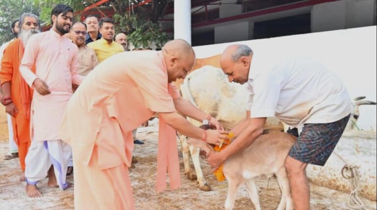 गोरखनाथ मंदिर की गोशाला में मुख्यमंत्री ने की गोवर्धन पूजा