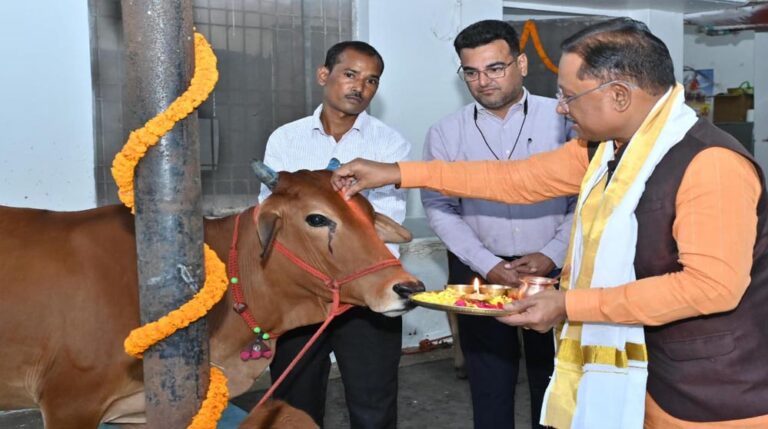 रायपुर : गोवर्धन पूजा के अवसर पर मुख्यमंत्री ने किया गौपूजन, प्रदेशवासियों की सुख-समृद्धि की कामना की