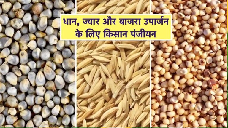 समर्थन मूल्य पर धान, ज्वार, बाजरा उपार्जन के लिए 8 लाख 53 हजार 911 किसानों ने कराया पंजीयन