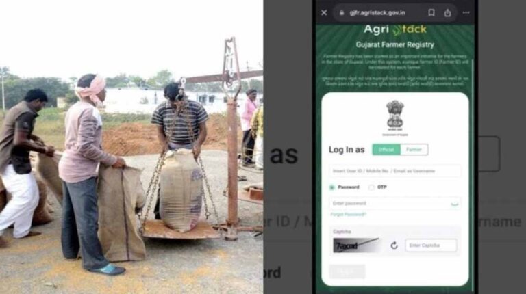 धान खरीदी के लिए एग्रीस्टैक पोर्टल में किसान पंजीयन अनिवार्य : किसान 31 अक्टूबर तक करा सकेंगे पंजीयन