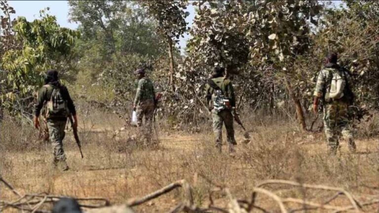 झारखंड पुलिस की बड़ी सफलता: नक्सल व साइबर अपराध नियंत्रण में 157 हथियार बरामद
