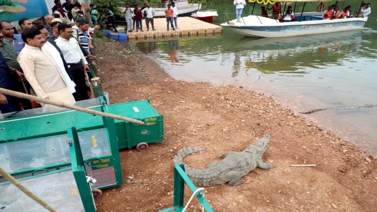 राज्य सरकार जीवों के संरक्षण के लिए है संकल्पबद्ध : मुख्यमंत्री डॉ. यादव