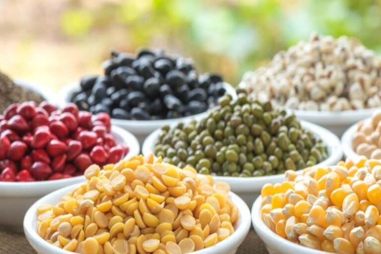 शिवराज सिंह का बड़ा ऐलान: MSP पर होगी दलहन की खरीदी, किसानों को मिलेगा सीधा लाभ