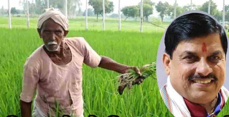 धनतेरस पर किसानों को बड़ा तोहफा! सरकार करेगी मुआवजे की धनवर्षा