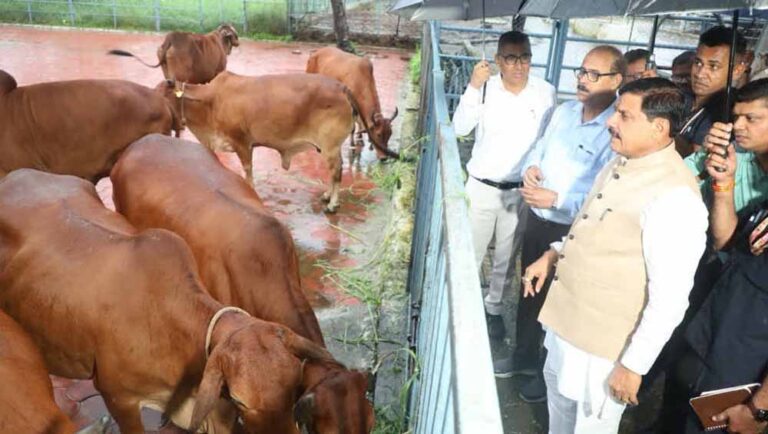 मध्यप्रदेश में दुग्ध उत्पादन से दोगुनी होगी पशुपालक किसानों की आय : मुख्यमंत्री डॉ. यादव