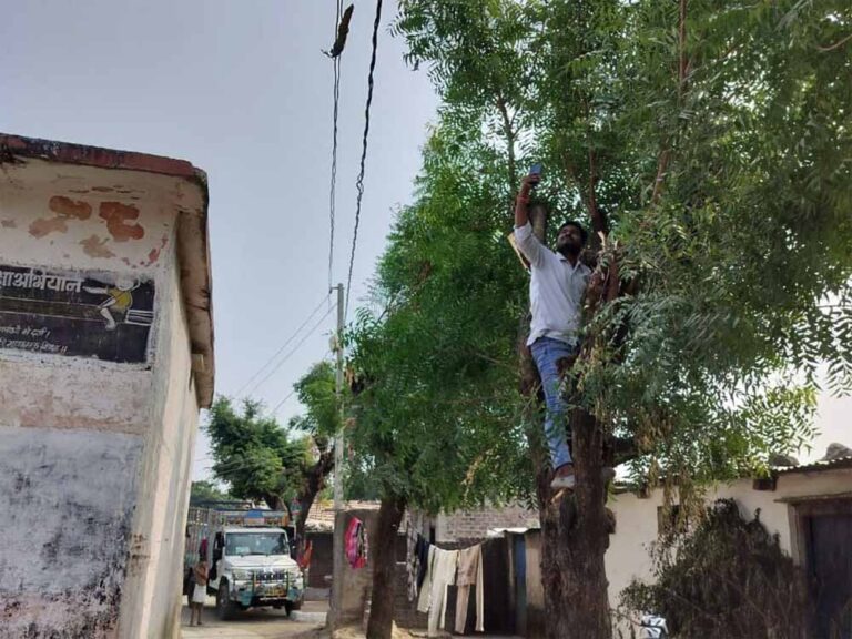 एमपी शिक्षक ने पेड़ पर चढ़कर किया ई-अटेंडेंस, नेटवर्क की समस्या ने बढ़ाई परेशानी