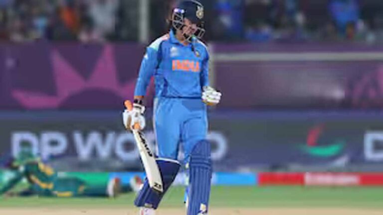 भारत की जोरदार पलटवार, अफ्रीका को 252 रन का लक्ष्य मिला