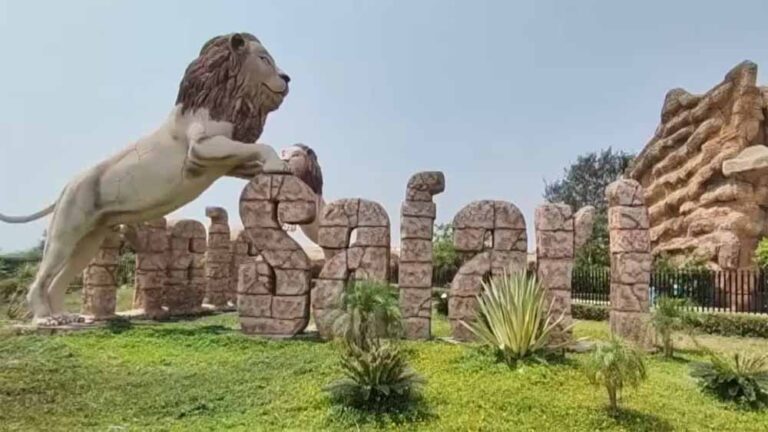इटावा सफारी पार्क में नई मिनी बसों का अनुभव, पर्यटकों के लिए खास डिजाइन