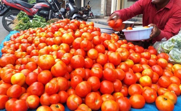 पाकिस्तान में टमाटर हुआ लग्जरी, एक किलो की कीमत 700 रुपए तक पहुंची!