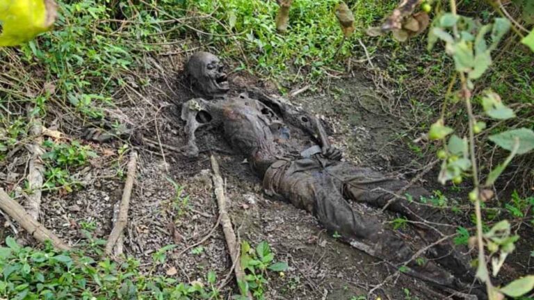 झाड़ियों में मिला नर कंकाल, पुलिस ने शिनाख्त प्रक्रिया की तेज