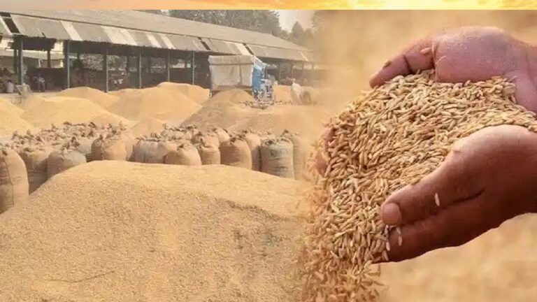 रायपुर : प्रदेश में 15 नवम्बर से समर्थन मूल्य पर धान खरीदी को लेकर तैयारियां पूरी