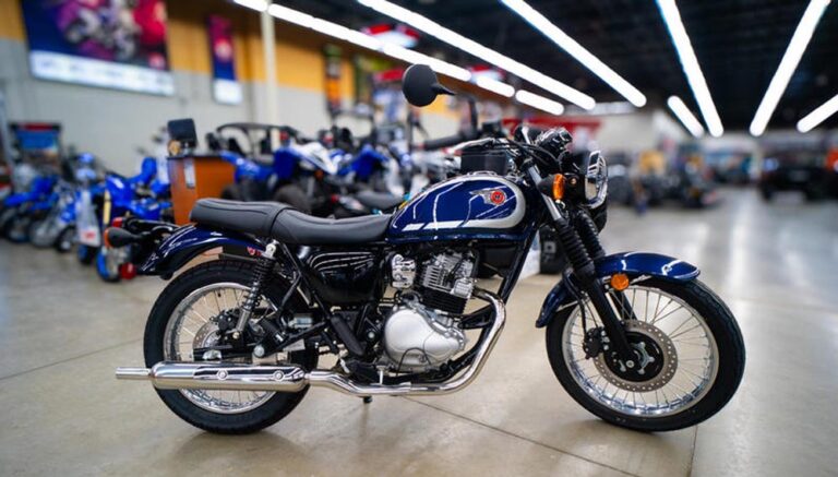 Kawasaki W230 रेट्रो-रोडस्टर से बढ़ी रॉयल एनफील्ड की टेंशन, ग्राहक हुए दीवाने