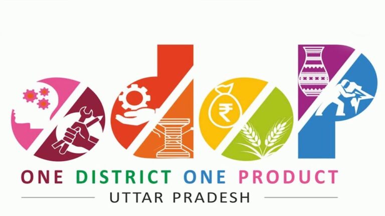 विशेष आर्टिकल: एक जिला एक उत्पाद (ODOP) योजना में वित्तीय सहायता से उद्यमियों के सपनों को लगे पंख