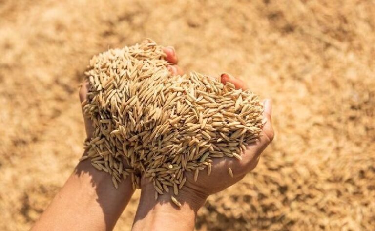 किसानों को आर्थिक रूप से “समृद्ध’ कर उत्तर प्रदेश को सशक्त बना रही योगी सरकार