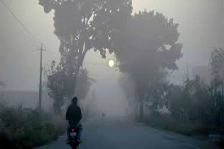 घने कोहरे से विजिबिलिटी कम, पारा 7°C—कड़ाके की ठंड की दस्तक