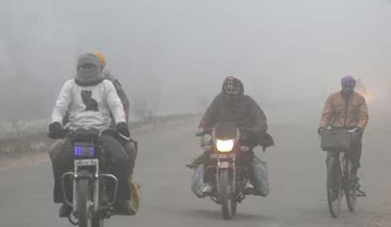 मध्यप्रदेश में सर्दी का कहर: राजगढ़ 7.4°C, इंदौर 7.6°C; 13 जिलों में शीतलहर, अनूपपुर-बालाघाट में कोल्ड डे
