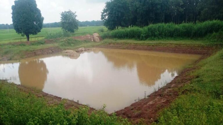 रायपुर : डबरी निर्माण से ग्रामीण आजीविका को मिल रही नई दिशा