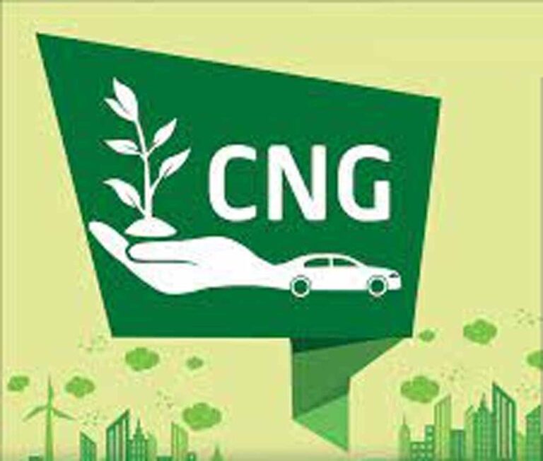 नए साल का तोहफा! 1 जनवरी से सस्ती होगी CNG-PNG, जानिए नई कीमतें