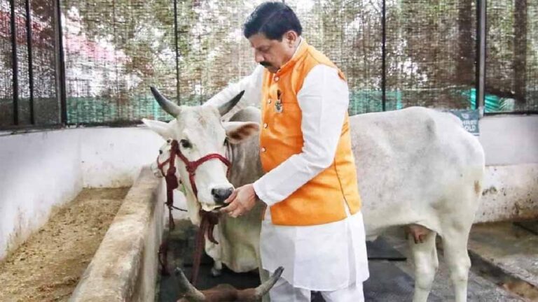 पशुपालकों की समृद्धि की ओर बढ़ रहा मध्यप्रदेश: मुख्यमंत्री डॉ. यादव