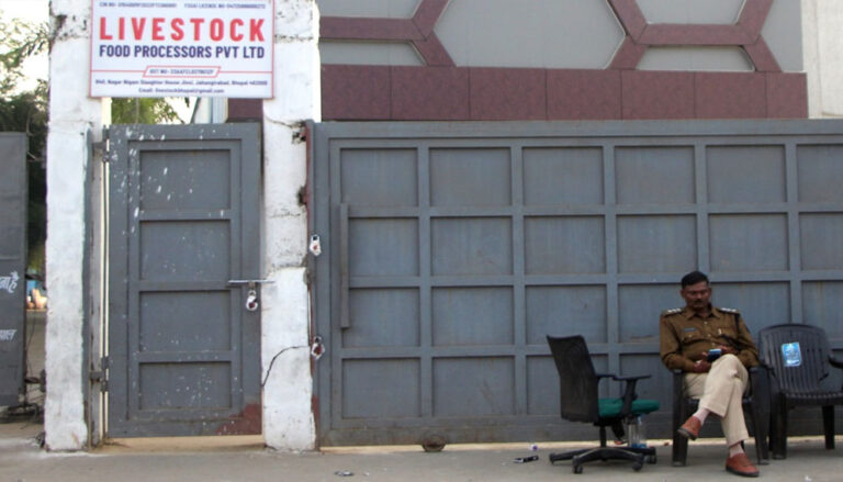 स्लॉटर हाउस कांड: दुधारू भैंसों को काटने का चौंकाने वाला सच, बछड़े और पाड़ों के अवशेष मिले