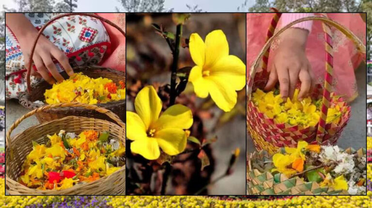 वाइब्रेंट की थीम पर होगा राज्य स्तरीय पुष्प महोत्सव, प्रदेश में उत्पादित फूलों की विभिन्न किस्मों का होगा प्रदर्शन