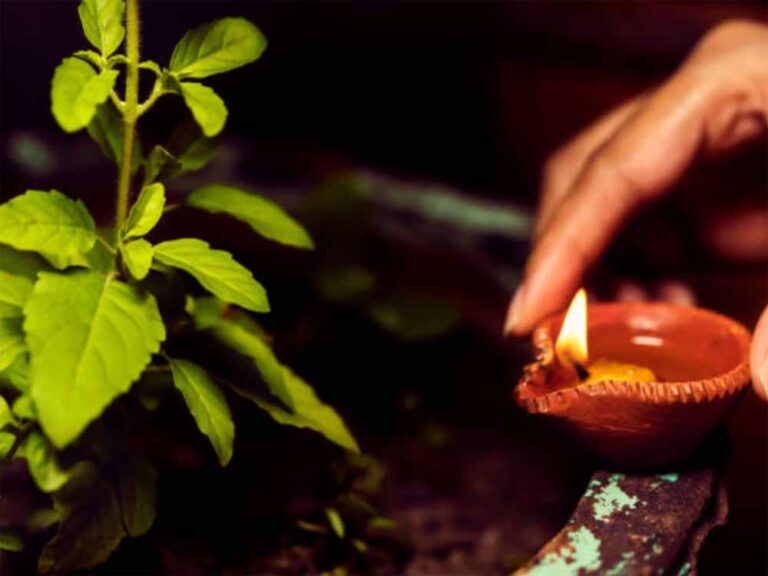 बसंत पंचमी 2026: तुलसी के पास दीपक जलाने का शुभ समय क्या है? जानें सही मुहूर्त