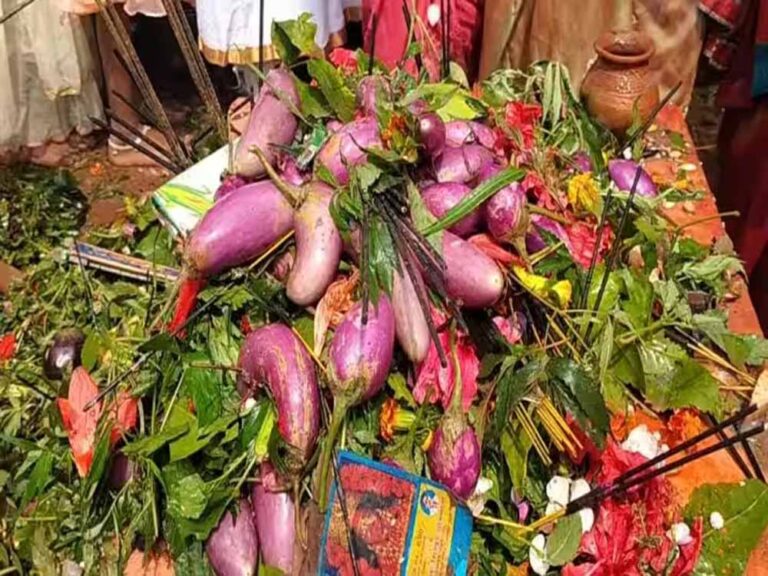 बैगन चढ़ाओ, मन्नत पाओ! बिहार के इस अनोखे शिवधाम में खेती से जुड़ी है भोलेनाथ की आस्था