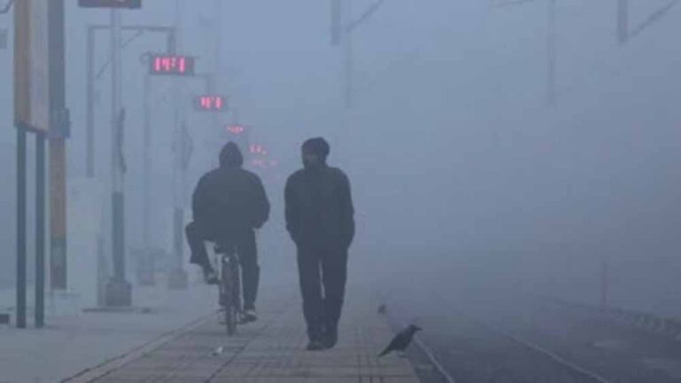 झारखंड में सुबह कोहरा और रात में कंपकंपाती ठंड, 11 जिलों में येलो अलर्ट जारी